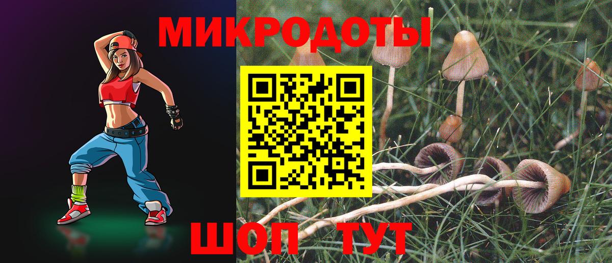 Псилоцибиновые грибы Cubensis Мичуринск